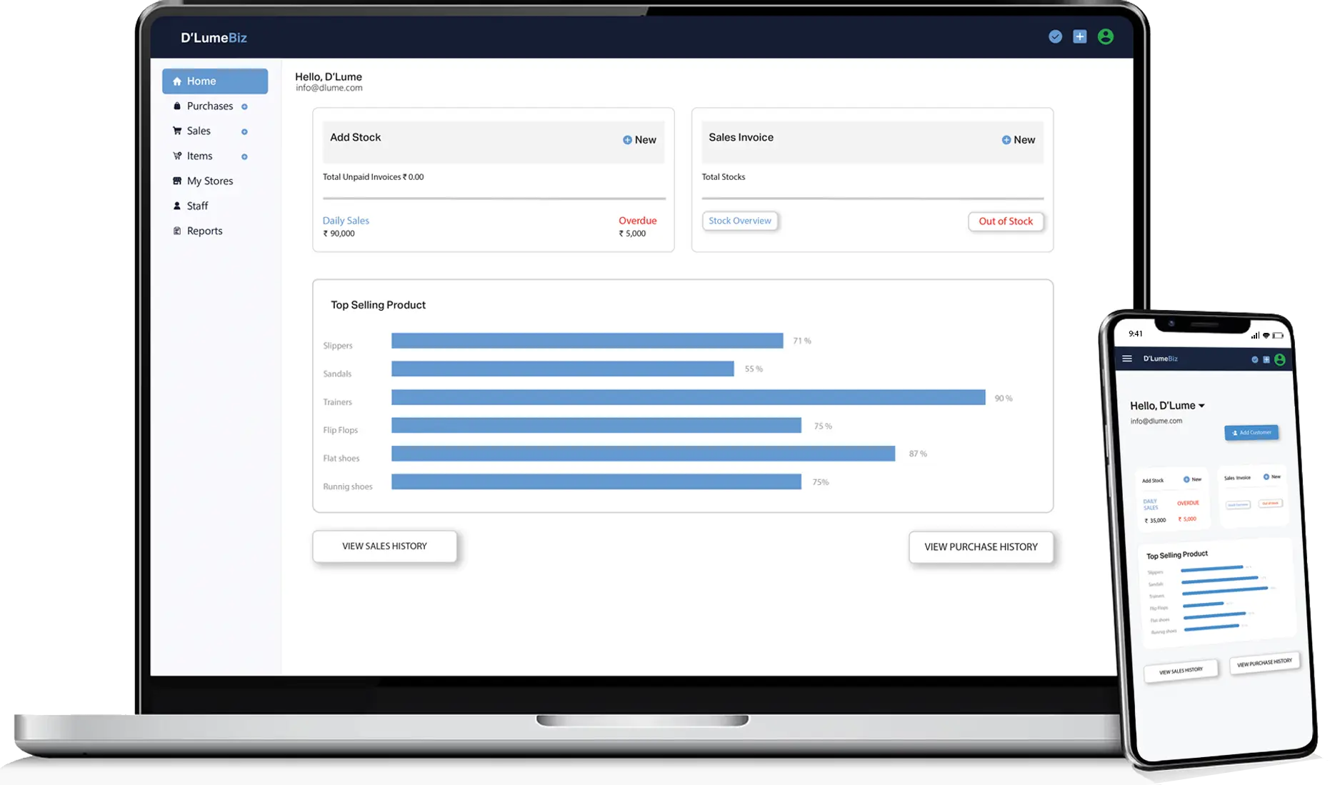 D'Lume Biz software dashboard showing sales, inventory, and reporting features